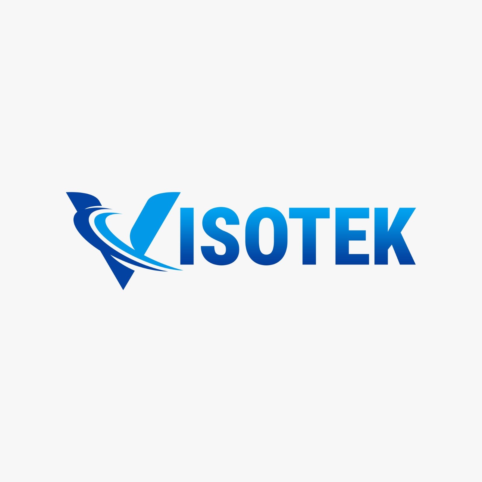 PT Visotek Kurnia Solution - ISO Management Consultant
